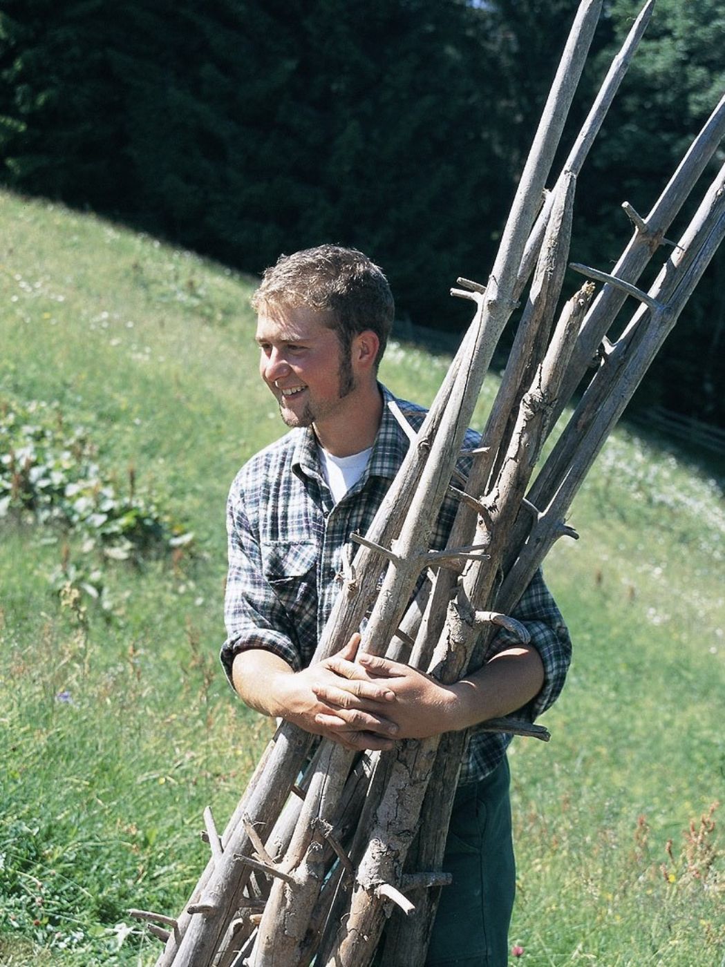 Ein Zivildiener im Einsatzbereich Landwirtschaftliche Betriebshilfe steht auf einer grünen Wiese, er trägt lange Holzstöcke, im Hintergrund ist ein Wald zu sehen