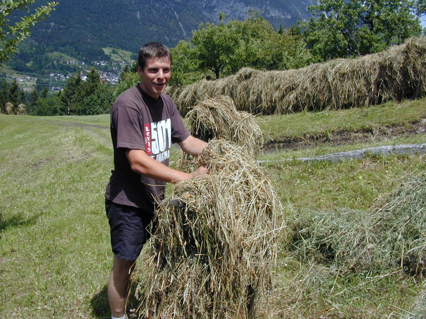 Ein Zivildiener im Einsatzbereich landwirtschaftliche Betriebshilfe bei der Heuernte. 